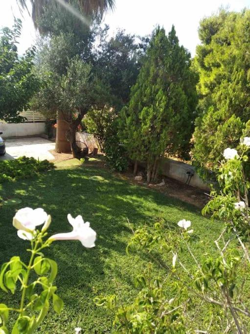 Kalivia Thorikou Cozy Villa Vita Lagonisi מראה חיצוני תמונה
