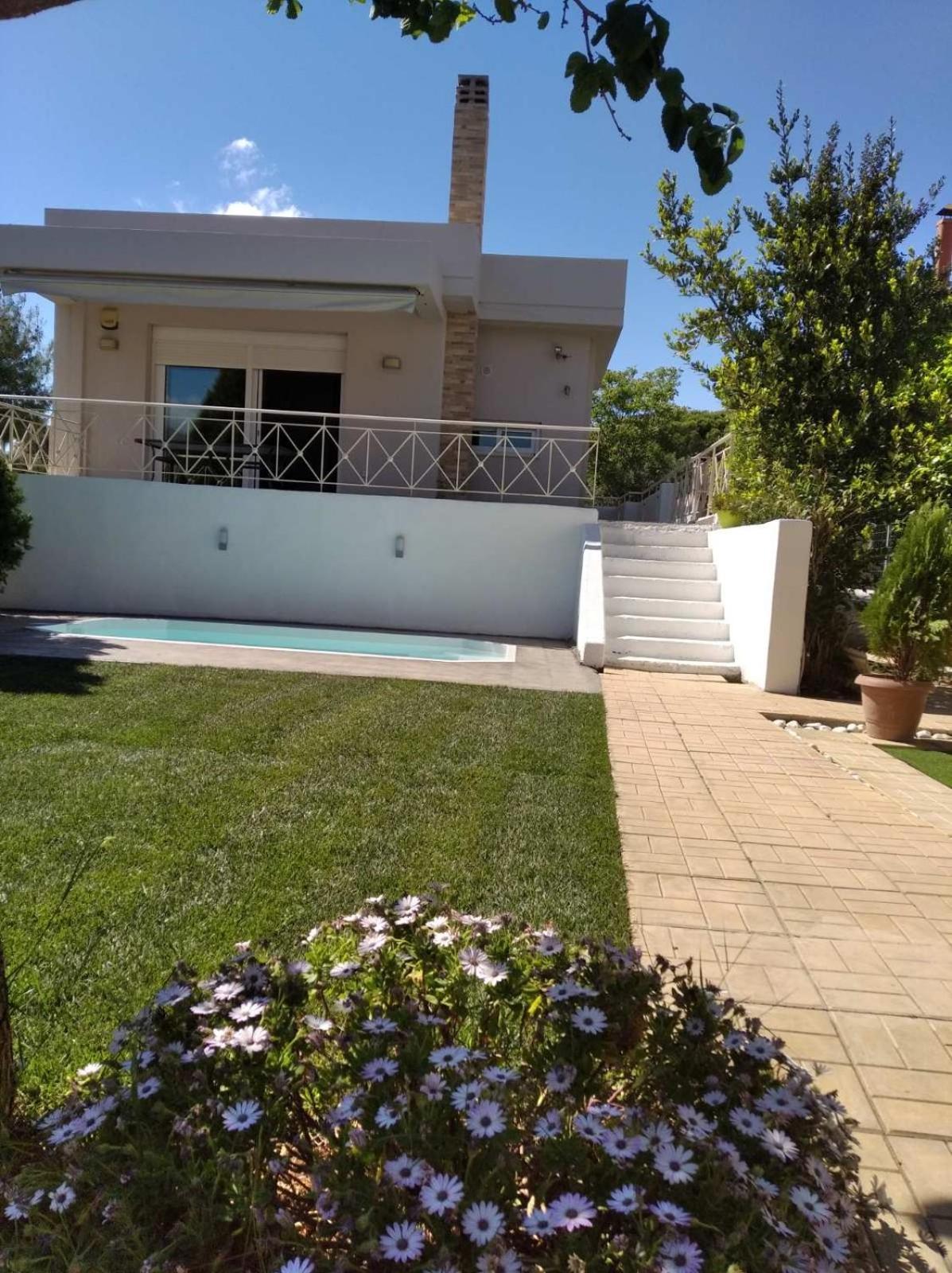 Kalivia Thorikou Cozy Villa Vita Lagonisi מראה חיצוני תמונה